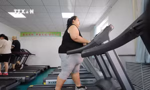 Béo phì và lượng đường trong máu cao khiến sức khỏe con người ngày càng kém