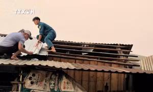 Mưa lớn kèm theo dông, lốc gây nhiều thiệt hại tại Bình Phước