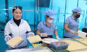 Đa dạng sản phẩm OCOP phục vụ mùa du lịch biển Cửa Lò