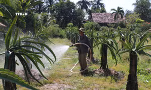 Ứng phó xâm nhập mặn, quyết tâm bảo vệ an toàn các vùng sản xuất trọng điểm