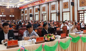 Bãi nhiệm chức vụ Trưởng ban Dân tộc HĐND tỉnh Gia Lai của bà Đinh Thị Giang do vi phạm pháp luật