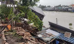 Sạt lở đất bờ rạch Ông Chưởng (An Giang) gây thiệt hại cho người dân