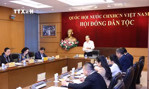 Nghiên cứu, đồng bộ hóa chính sách dân tộc