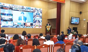 Xây dựng 4 mô hình câu lạc bộ của nông dân