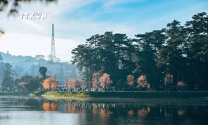 Lâm Đồng hướng tới trở thành “Thiên đường xanh" du lịch vào năm 2030