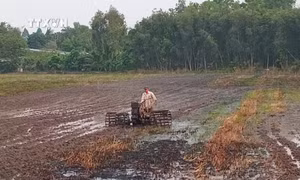 Phòng chống hạn, mặn: Đảm bảo đủ nước cho sản xuất