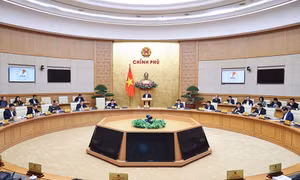 9 cơ quan Thanh tra Tổng cục, Cục thuộc các Bộ
