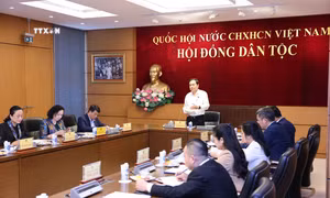 Nghiên cứu, đồng bộ hóa chính sách dân tộc
