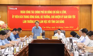 Đảm bảo vùng đồng bào dân tộc ở Cao Bằng được hưởng các chính sách hỗ trợ