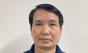 Bộ Chính trị, Ban Bí thư xem xét, thi hành kỷ luật tổ chức đảng, đảng viên có vi phạm, khuyết điểm