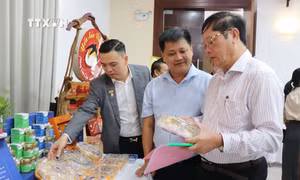 Định vị thương hiệu "Yến sào Quảng Ngãi"