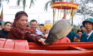 Tưởng nhớ, tri ân tổ tiên vương triều Trần