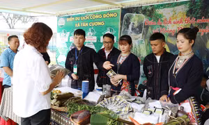Mùa du lịch 2024 - “Từ trải nghiệm tới trái tim” tại Thái Nguyên