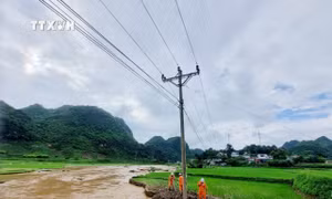 Sơn La cấp điện trở lại cho trên 15.580 khách hàng bị ảnh hưởng mưa bão