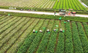 Những chính sách nổi bật có hiệu lực trong tháng 3/2024