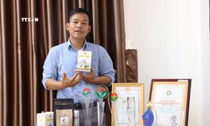 Khát vọng nâng tầm thương hiệu cà phê Ê Đê của anh Y Pôt Niê