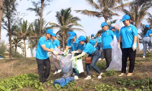 Ngày Môi trường thế giới (5/6): Hướng tới mục tiêu phục hồi đất đai, chống sa mạc hóa