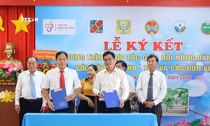 Ký kết các chương trình hợp tác phát triển nho, táo Ninh Thuận