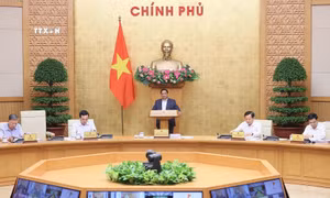 Thủ tướng Chính phủ bổ sung phân công Phó Thủ tướng Chính phủ xử lý một số công việc