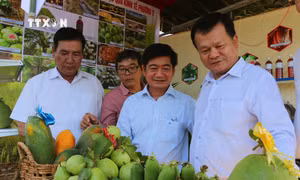 Sôi nổi Tuần lễ hoạt động Văn hóa Thương mại tại Sóc Trăng