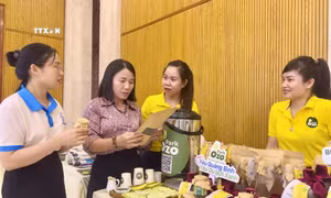Du lịch xanh và sản phẩm OCOP Quảng Bình - Hành trình chinh phục thị trường