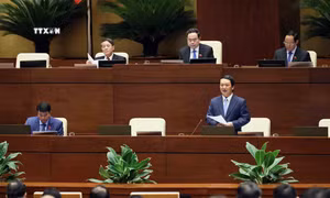 Kỳ họp thứ 7, Quốc hội khóa XV: Chú trọng bồi dưỡng nhân tài vùng đồng bào dân tộc thiểu số 