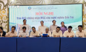 Trao chứng nhận MSC cho nghêu Bến Tre