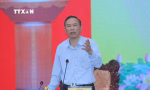 Tìm giải pháp phát triển bền vững ngành tôm 