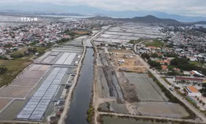 Tiếp diễn câu chuyện “được mùa mất giá” muối