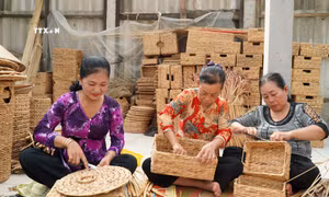 Thoát nghèo nhờ nghề đan lục bình ở Kiên Giang
