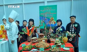 Lần tiên đầu tổ chức Liên hoan ẩm thực các món ăn chế biến từ cây chè