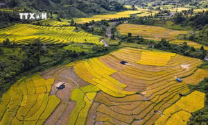 Tiềm năng du lịch khám phá nơi biên giới Mường Nhé