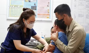 Tổ chức triển khai quyết liệt, có hiệu quả công tác phòng, chống bệnh Dại