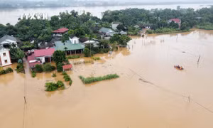 Phú Thọ: Nước lũ tràn đê, sơ tán dân ở thị trấn Hạ Hòa