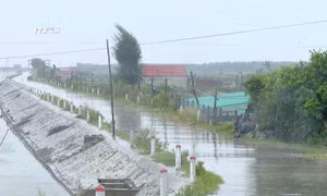 Bão số 3: Vùng ven biển Ninh Bình gió giật mạnh, sóng biển cao 2-3 mét
