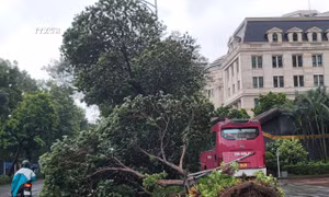 Bão số 3: Khuyến cáo người dân khi di chuyển ngoài đường và tránh xa các khu vực nguy hiểm