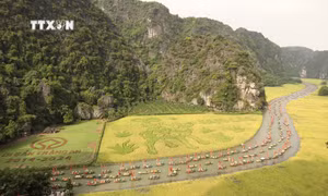 Ninh Bình đón gần 300 nghìn lượt khách trong Tuần Du lịch 2024