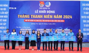 Tỉnh Đoàn Quảng Trị có nhiều giải pháp hỗ trợ thanh niên khởi nghiệp