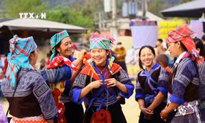 Ngày hội hoa sơn tra 2024: Cơ hội kết nối, phát triển du lịch Mường La