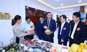Sơn La: Phát triển hiệu quả các vùng nguyên liệu tập trung gắn với chế biến