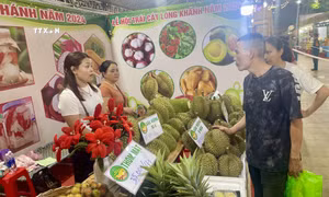 Du khách thích thú thưởng thức chôm chôm miễn phí tại Lễ hội trái cây Long Khánh