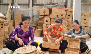 Thoát nghèo nhờ nghề đan lục bình ở Kiên Giang