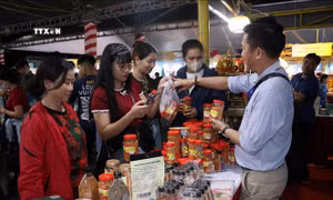 Khai mạc Festival nông sản, OCOP, làng nghề gắn kết du lịch