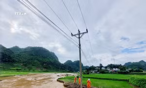 Sơn La cấp điện trở lại cho trên 15.580 khách hàng bị ảnh hưởng mưa bão