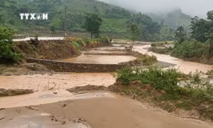 Khẩn trương lập phương án khắc phục hậu quả do mưa lũ tại huyện Điện Biên Đông