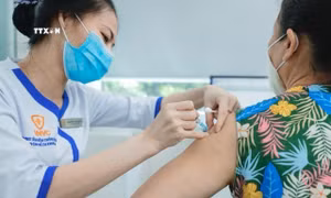 Bộ Y tế khuyến cáo về tiêm chủng vaccine phòng bệnh bạch hầu