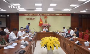 Cấp bách triển khai phòng, chống bệnh dại tại Đắk Lắk