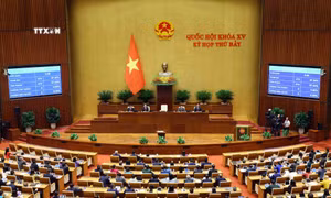 Thông cáo báo chí số 1, Kỳ họp thứ 7, Quốc hội Khóa XV