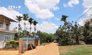 Có một Cư Kuin bình yên và phát triển