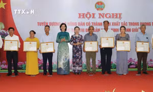 Bình Phước tuyên dương, khen thưởng hộ nông dân sản xuất kinh doanh giỏi năm 2024